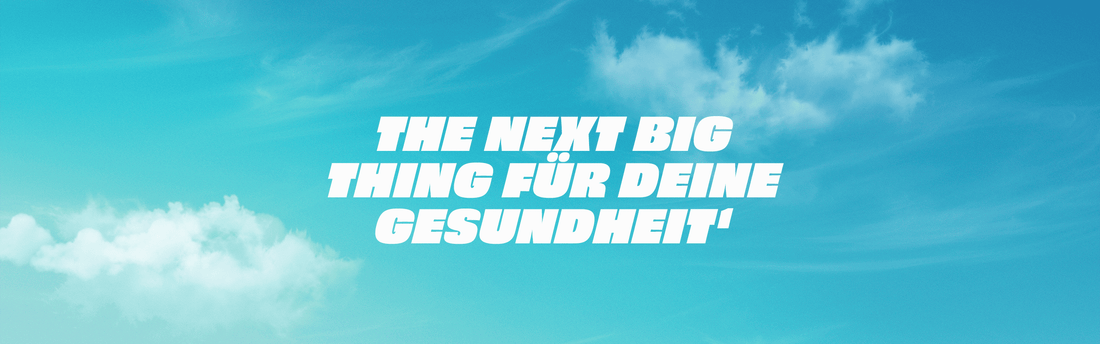 Ballaststoffe im Überblick Header-Bild