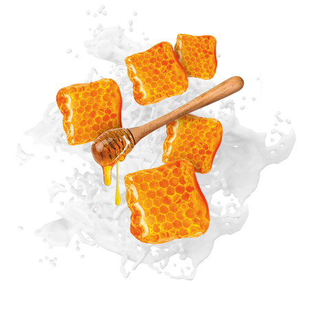 Splash Image