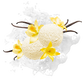 Splash Image