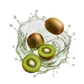 Splash Image
