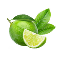 Iced Tea Style Green Tea Lime / 600g