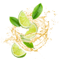 Splash Image