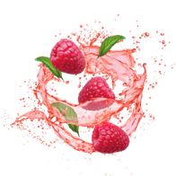 Lemonade Style Raspberry Mojito / 600g