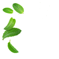 Mint / 30 x 5g