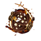 Splash Image