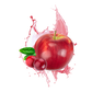 Splash Image