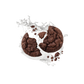 Splash Image