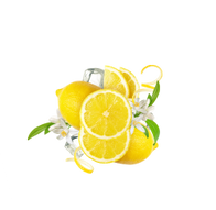 Lemonade Style Summer Lemon / 600g