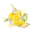 Lemonade Style Summer Lemon / 600g