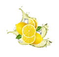 Iced Tea Style Lemon / 30g Probe