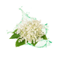 Splash Image