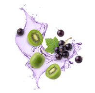 Blackcurrant & Kiwiberries / 65ml