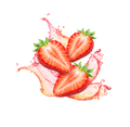 Strawberry Vanilla / 12 x 330ml