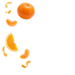 Splash Image