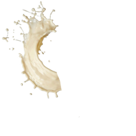 Light Mayo / 285ml