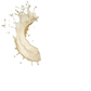 Splash Image