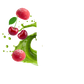 Splash Image