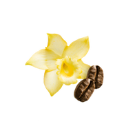 Cold Brew Vanilla / 500g