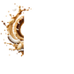 Splash Image