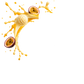 Splash Image