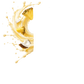 Splash Image