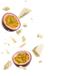Splash Image