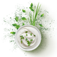 Splash Image