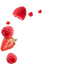 Splash Image