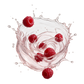 Splash Image