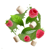 Raspberry Marshmallow (Valentine´s Special) / 500g