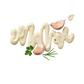 Splash Image