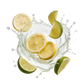 Splash Image