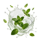 Splash Image