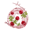 Raspberry Waldmeister / 65ml