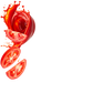 Splash Image