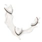 Splash Image
