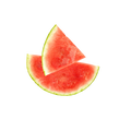 Watermelon / 65ml