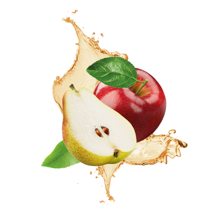 Splash Image