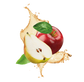 Splash Image