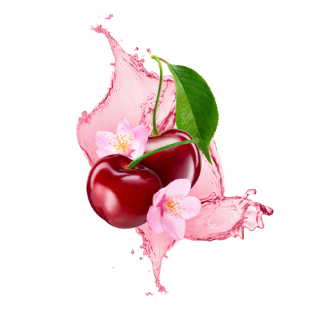 Splash Image