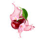 Splash Image