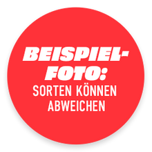 Beispielfoto