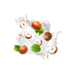 Splash Image