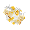 Lemon Ice Cream Cake / 30g Probe