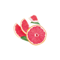 Pink Grapefruit / 270g