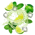 Lemonade Style Virgin Mojito / 600g