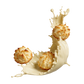 Splash Image