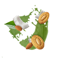 Coconut Almond Biscuit / 500g