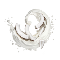 Coconut Milk / 600g