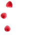 Splash Image
